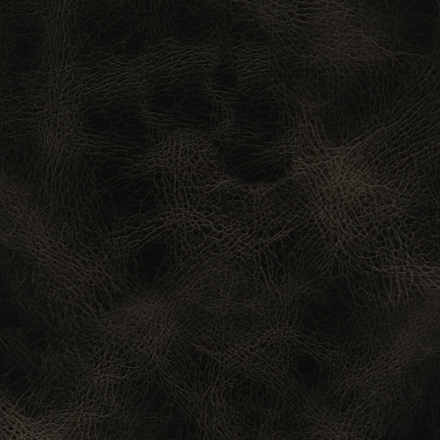 Pampas leather in Pitch Black for interior steel glazed doors and screens