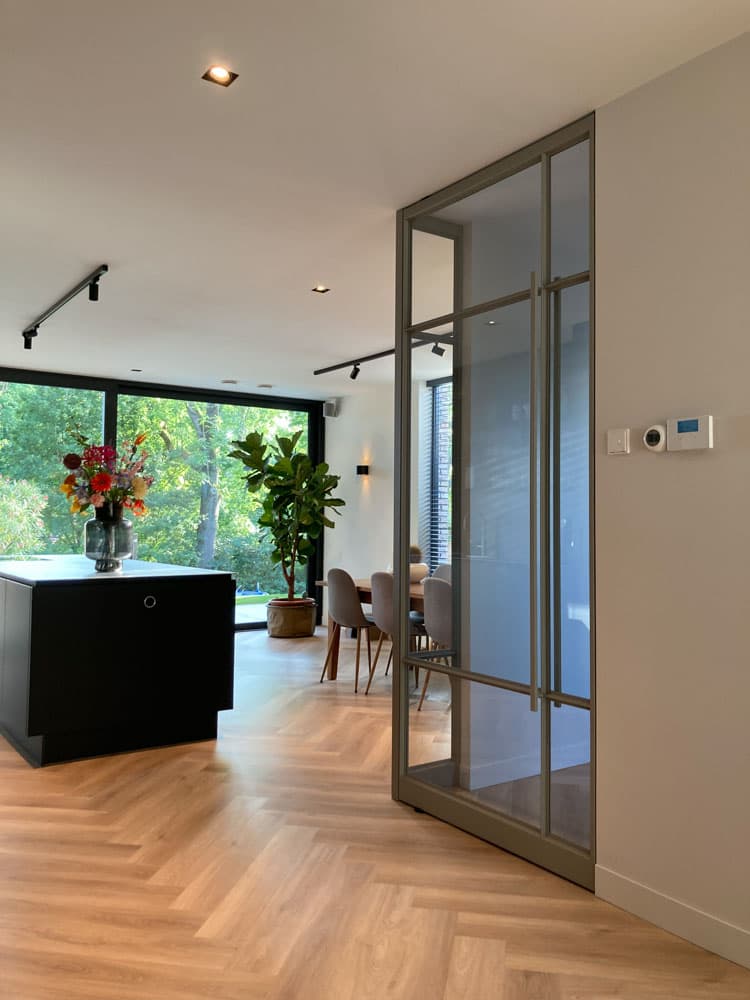a single pivot door made of steel in a light bronze finish and clear glazing
