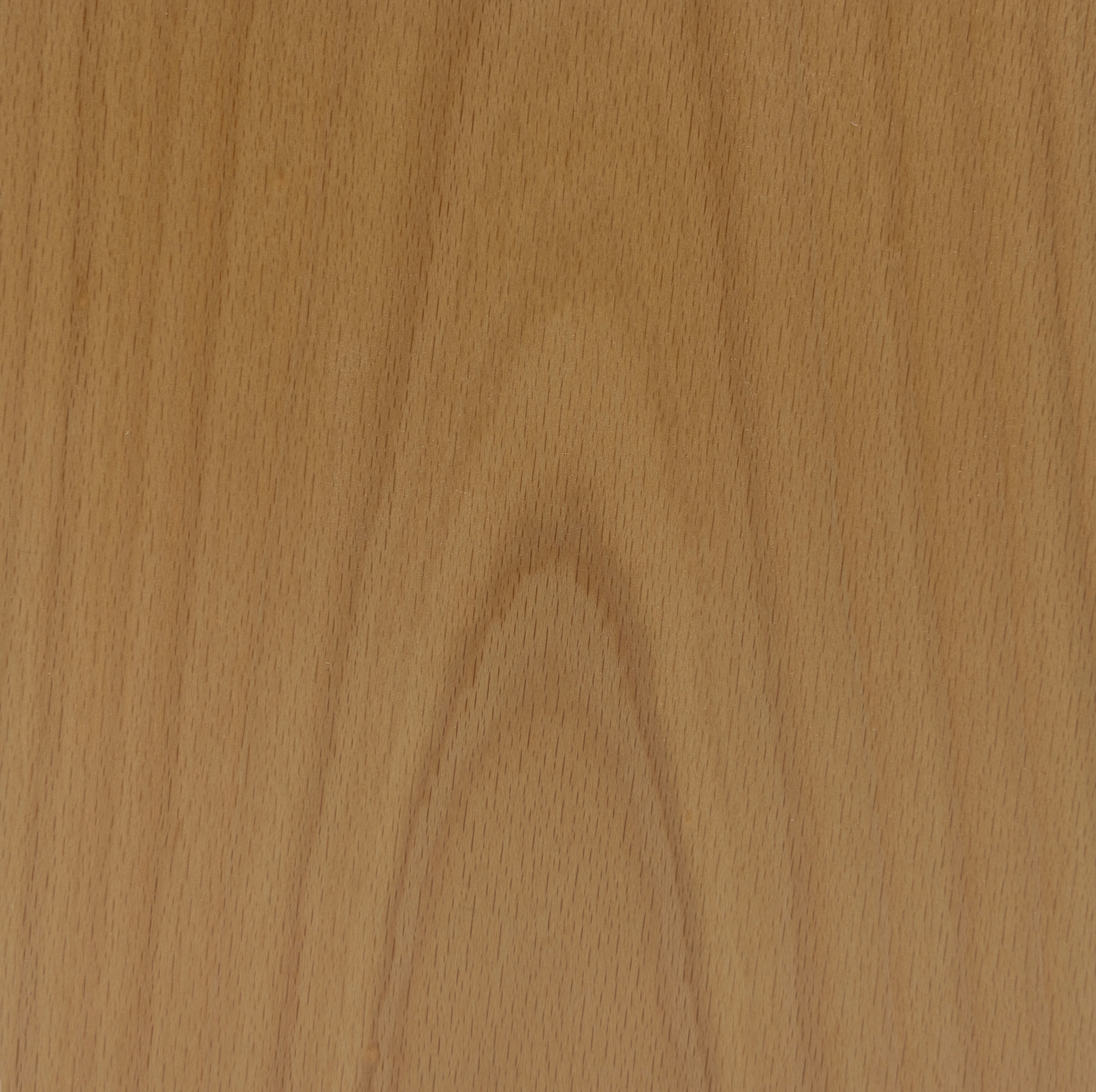 Crown Cut Steamed Beech veneer